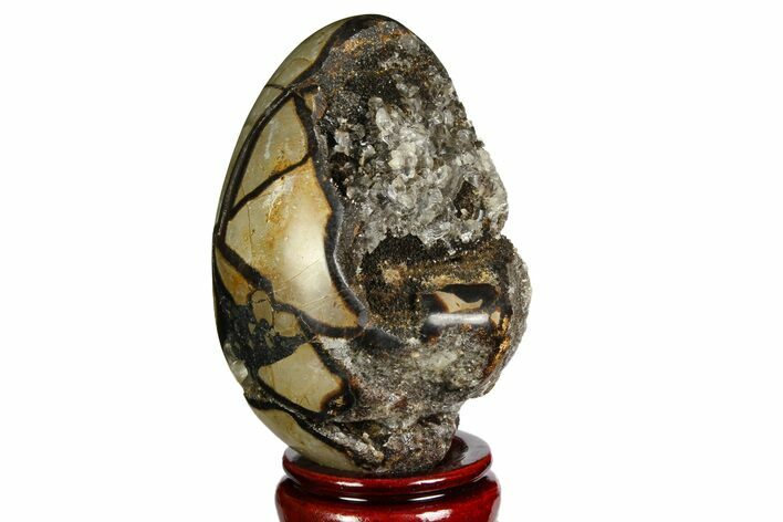Septarian Dragon Egg Geode - Barite Crystals #143144